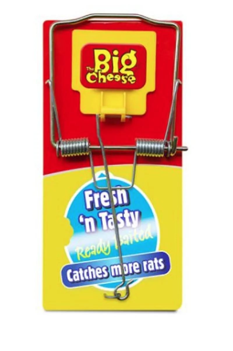 Fresh Baited Rat Trap